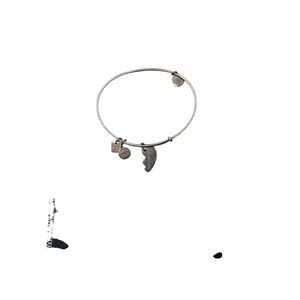 Alex and Ani Silver Charm Bangle Bracelet